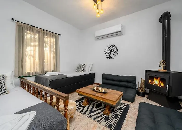 Vilă Moana House